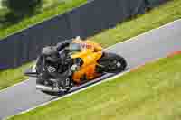 Advanced Group Orange Bikes